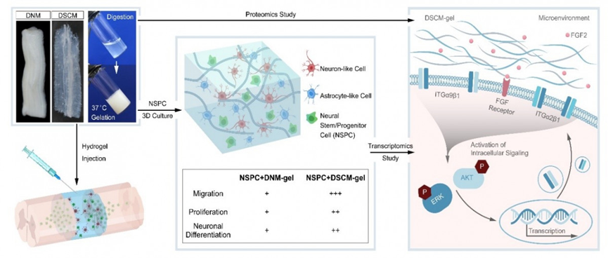 image 195